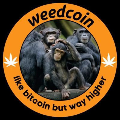ZeBaldBearded's profile picture. https://t.co/3npLWnnyoC - everything you need to know about weed and crypto

https://t.co/6MvxtO6ZdN - Telegram 

@weedcoinog - Official X