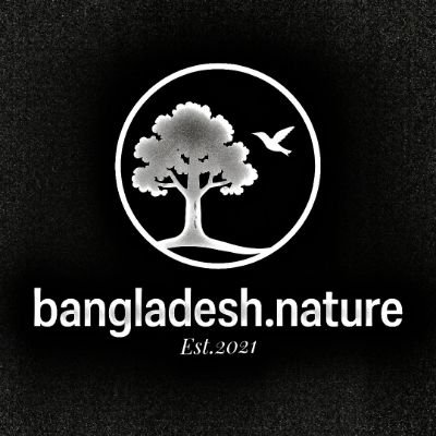 mahin9kabir's profile picture. 