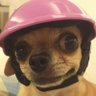 realwayclips's profile picture. funny videos and stuff. In a real way.