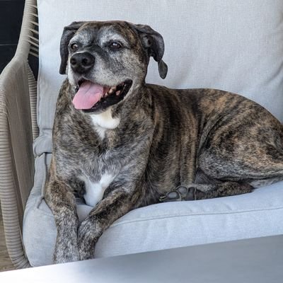 bwtor66's profile picture. Good ole Canadian boy with conservative values.