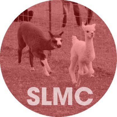 Slowmaricoさんのプロフィール画像