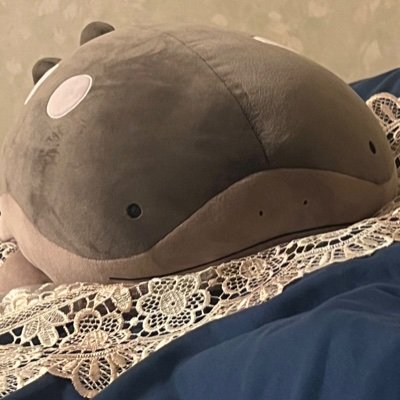どうも根っこ2世です
前のアカウント消えました😭
飼育紹介ジャイアントマスクタートル5匹メス4匹オス?一匹
アザンサルバとスンバワサルバ
アフロクとモンキヨコクビとアフヨコとヒガシヘルマンリクガメ兄弟とレオパ2匹とイベリアトゲ夫婦,サソリ,ヤドカリ,ゴキブリ,ウーパールーパーを飼ってます
あと古代魚5匹