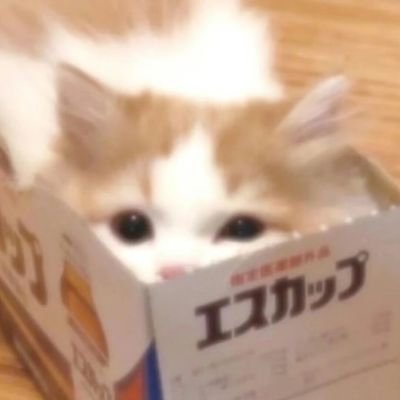 qin_yunyun's profile picture. 36E  生病休学中  已通过拾柒 Big叔 沈万姬等大v的本人验证  x上私信只回想要过🚪的  尽量在→tg:https://t.co/qzuJpRCEA2 私信  支付宝被限了🚪支持qq钱包/微信转(微信可能需要等)匿名箱→https://t.co/3sMYmwjDFS