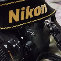 九鉄【15年前のNikon使い】 (@kyu_nikond7000) 's Twitter Profile