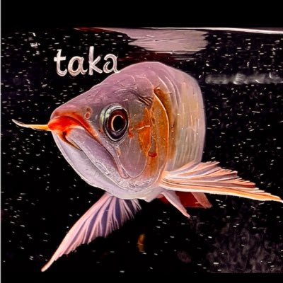 taka (@big_pink_pig) / X