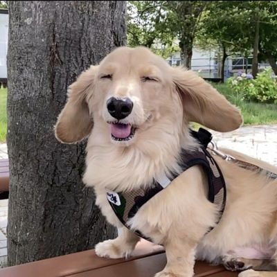 Io_uta0728's profile picture. 歌垢