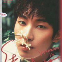 여름에 물든설렘_원우 (@flutterinww_) 's Twitter Profile