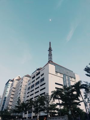 ridho_jrm's profile picture. 🦅