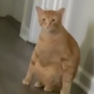 yobi109252's profile picture. 