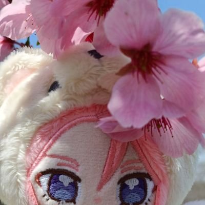 さしすせそ🐱さんのプロフィール画像
