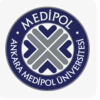 Ankara Medipol Siyasal Bilgiler Fakültesi (@psir_amu) 's Twitter Profile