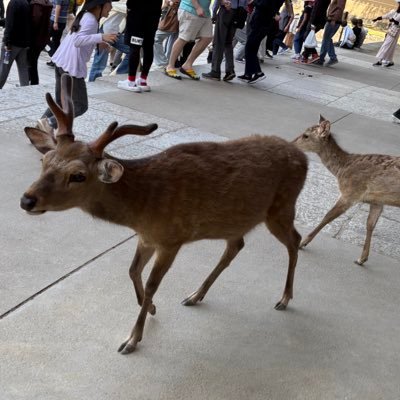 hNkpEgnx9180845's profile picture. 