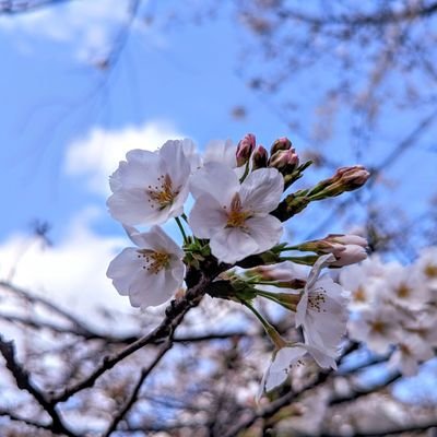 EMAP1TrHo879611's profile picture. 