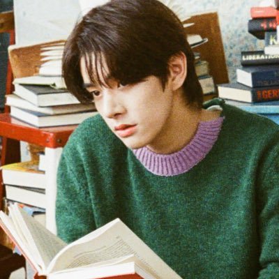 ˖ ‧₊ ☆ fan account — falling in love with 7 vampires 🧛🏻 @ENHYPEN