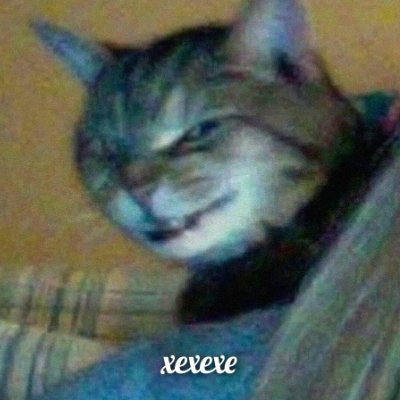 AAlexxxxIAA's profile picture. причиняю красоту и гармонию.