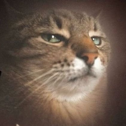 yarimdurum's profile picture. sınıfı geçtim