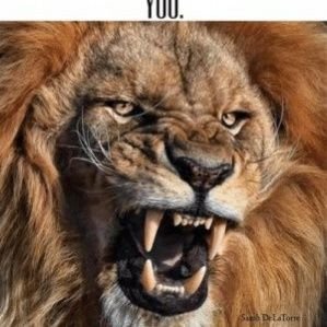 lazzycruser's profile picture. 