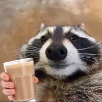 Caleb (@trash_panda491) 's Twitter Profile
