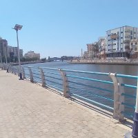 swprman (@swprman16478) 's Twitter Profile Photo swprman (@swprman16478) 's Twitter Profile Photo