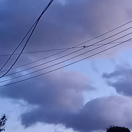 Kuka_0309's profile picture. あんスタ、とうらぶ…用垢 高卒済 18⤴︎︎︎
伯仲が好きです
トリスタP兼ナイツP
最近はとうらぶ関連などをいいね&リツイートします……
🗝| @ku_yume0825