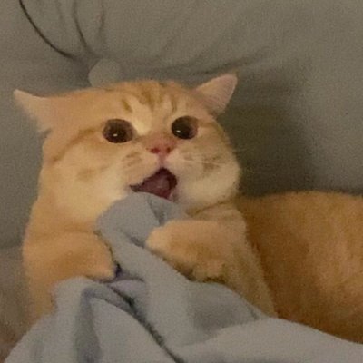 HindranceMud's profile picture. Not a trader at all