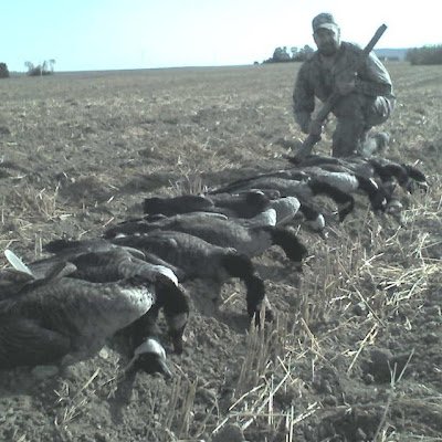 proffitt_d45749's profile picture. 