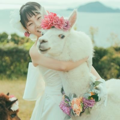 salwa_toyota's profile picture. 𝗦𝗮𝗹𝘄𝗮 𝗕𝗲𝗹𝗹𝘆𝗱𝗮𝗻𝗰𝗲 𝗦𝗰𝗵𝗼𝗼𝗹【 愛知県 豊田市 】中学生／高校生／大人🪩新規生徒募集中🪩ベリーダンスはInstagram中心【@salwa.toyota】🦙YouTubeは動物旅チャンネル【salwatube】Salwa Animal Travel🐅