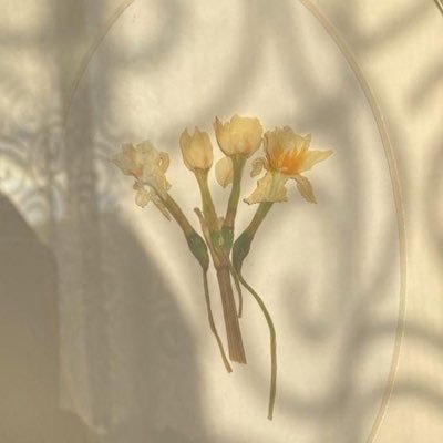 xeyalutopya1's profile picture. Artık hiç bir güç kimliğimizi,dilimizi,kültürümüzü inkar etme kudretini kendinde görmeyecektir.🦚🌾🌻