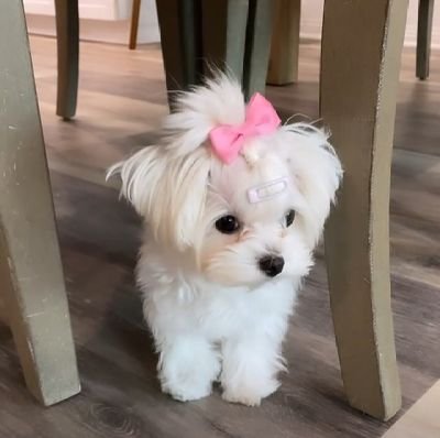 king_Starry_'s profile picture. I'm just a regular person