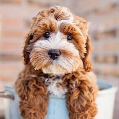 ZannakisM's profile picture. Everything related to Food.