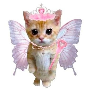 bitelasimvar's profile picture. ⋆𐙚˚⊹♡