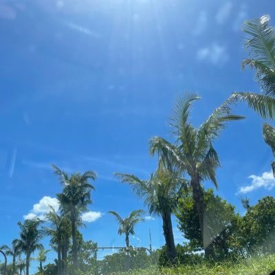 娘をいじめから守る為に、皆様のお力を貸して欲しいです。
【署名のお願い】
https://t.co/7X9ttjxfOV