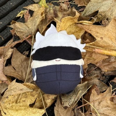 fuwakororins's profile picture. 20↑ | life with ふわ五 (▀▀̮▀)🩵 | 無言いいね+フォロ一失礼します🙇🏻‍♀️