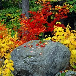 tanakak85297835's profile picture. どんな関係を探していますか?フォローお願いします