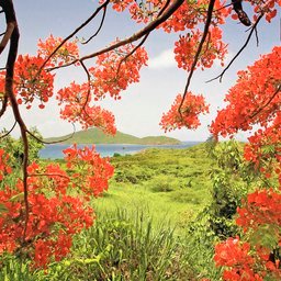 Positive thinking will let you do everything better than negative thinking will.