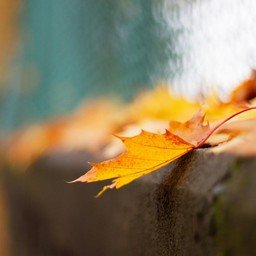 A pessimist sees the difficulty in every opportunity; an optimist sees the opportunity in every difficulty.