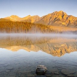 HipolitoRe51363's profile picture. 个人兼职上门服务无门槛✈️https://t.co/q2yjsNXcn6 qq 1485389840