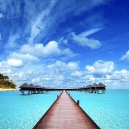 HLebsack53135's profile picture. The secret of success is to know something nobody else knows.