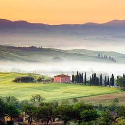 IC81wTFH4p6j7J's profile picture. 現金PayPayを発行しています。私を追加すると3000円もらえます💰