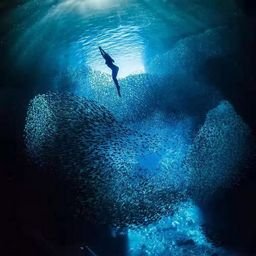 imakoujiko17850's profile picture. 