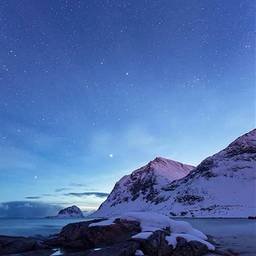 DewittK69465's profile picture. LINE交換はDMでお願いします!