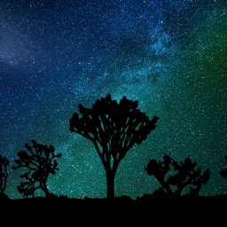 I1T0X2JRf320Q0F's profile picture. 急用です! ! !私のツイートをご覧になります