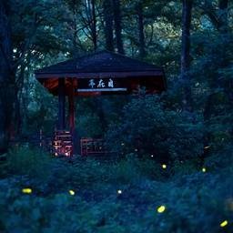 7p71H5Gx4sLdC's profile picture. 仲良くお願いします
フォローをお願いします