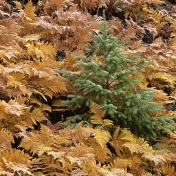 iYw8092133Qp34's profile picture. Coming from Malaysia, I like to make friends from all over the world