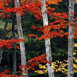 456D737d99c5la's profile picture. LINE交換しますか?DMお願いします。