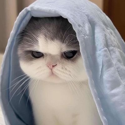 angiecas02's profile picture. love is a makeup 🥱