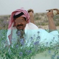 ᷂مطحس (@i9hnn) 's Twitter Profile