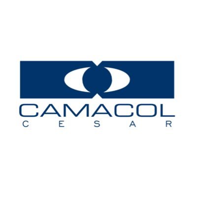 Representa y articula la cadena de valor de la construcción, el desarrollo competitivo y el progreso en la región del Cesar.