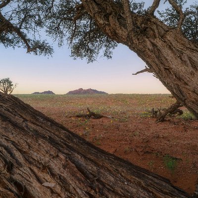 Kou9Neilan6's profile picture. 