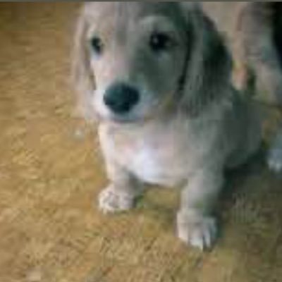 q23ne234's profile picture. 